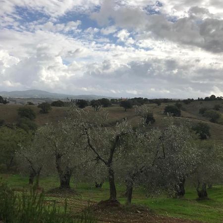 מליאנו אין טוסקנה Podere Pini מראה חיצוני תמונה