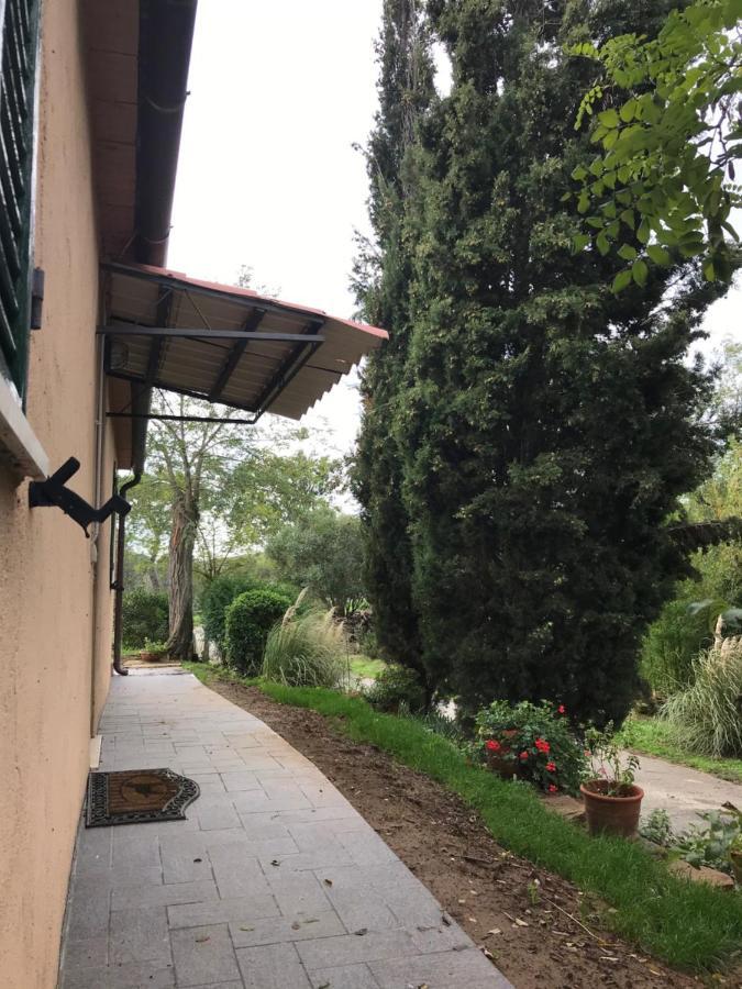 מליאנו אין טוסקנה Podere Pini מראה חיצוני תמונה
