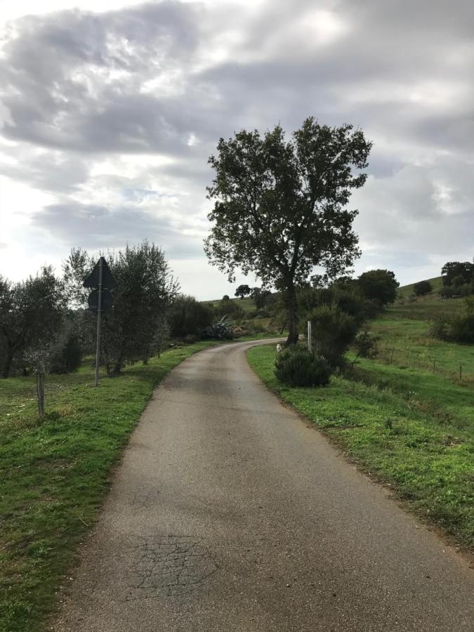 מליאנו אין טוסקנה Podere Pini מראה חיצוני תמונה